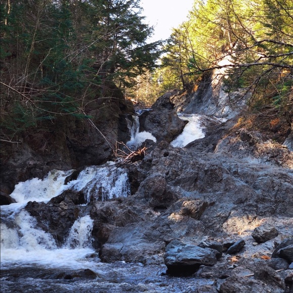 Meet your Posher, Madeline - Picture 3 of 3